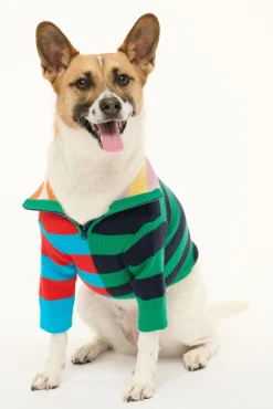 STAUD PET HAMPTON SWEATER | CABANA STRIPE MULTI> Pet Clothing