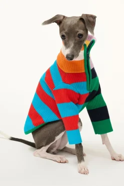 STAUD PET HAMPTON SWEATER | CABANA STRIPE MULTI><noscript><img width=
