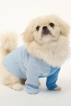 STAUD PET SHOKO SWEATER | PERIWINKLE MULTI><noscript><img width=